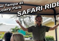 Expedition Safari Africa - Welcome Aboard Interns! Zoo Tampa At Lowry Park In Tampa, FL