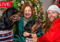 LIVE: Come Hang Out With Us! End of the Year Recap & More